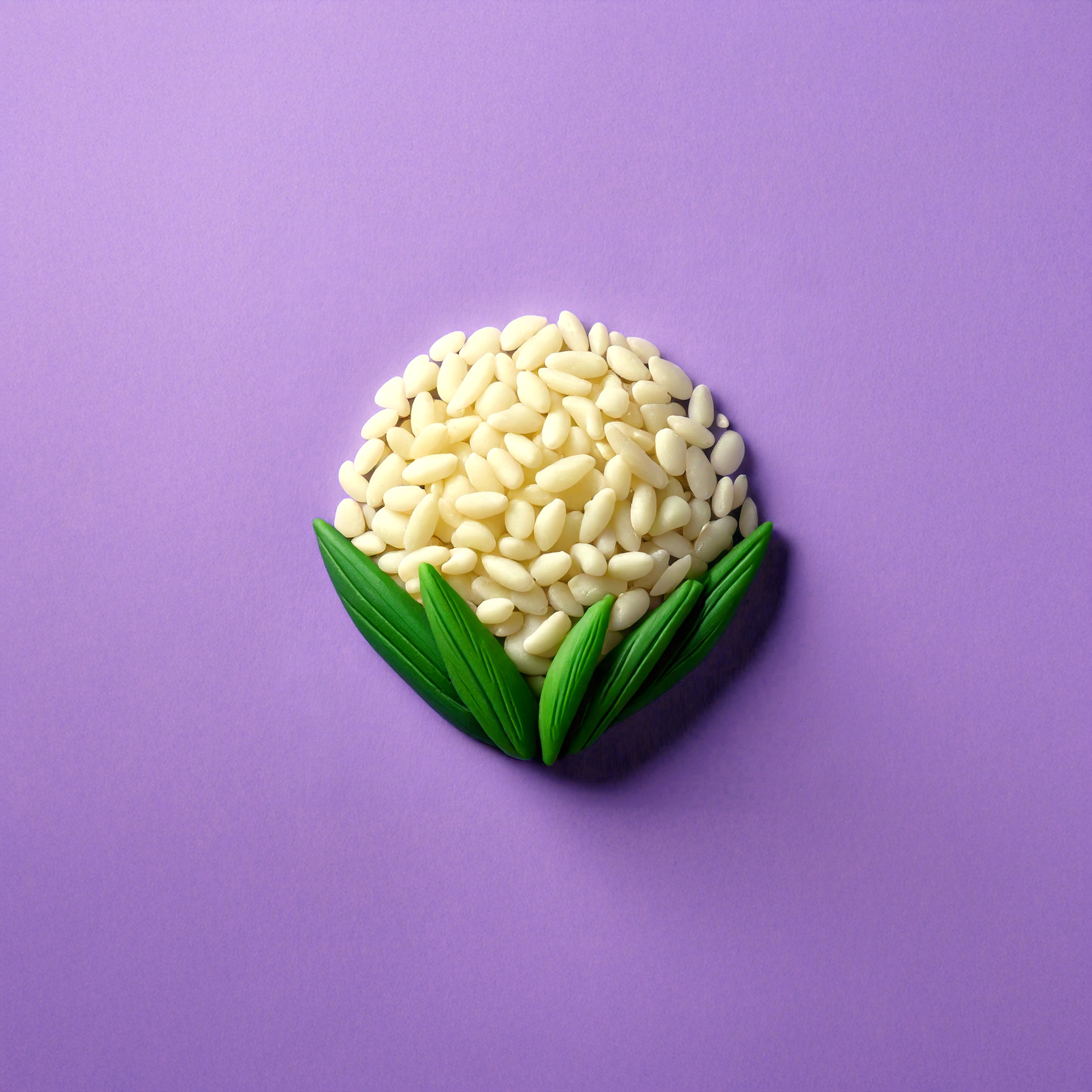 Health starts in your gut